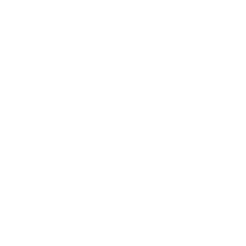 Mattress Paradise Logo